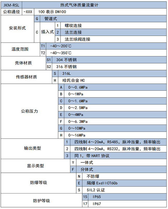 DN300熱式氣體質量流量計選項表
